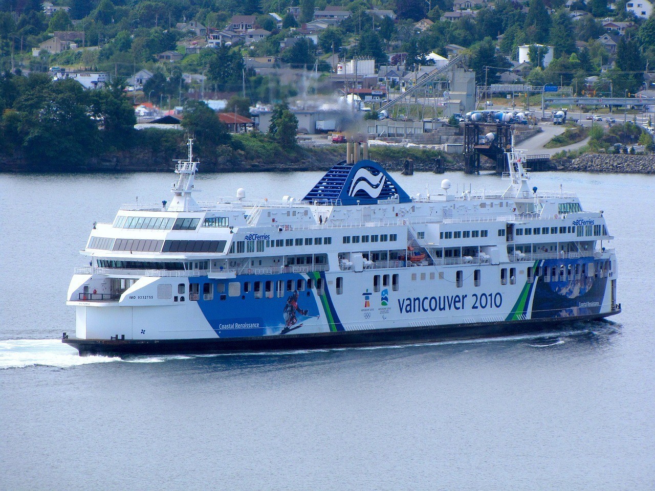 庫車縣海洋世界觀賞魚漁具店 庫車縣海洋世界觀賞魚漁具店 全國水族館企業名錄 第3張