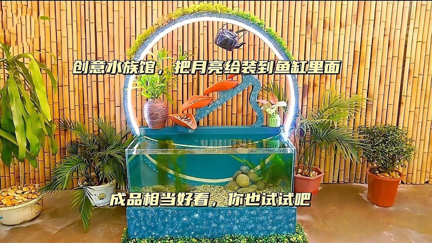 如何模擬月光輔助金龍魚作息？