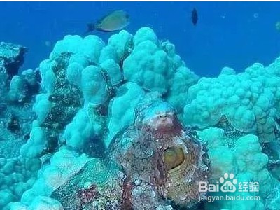 杭州金宴紅生物科技有限公司（杭州金宴紅生物科技有限公司官網）