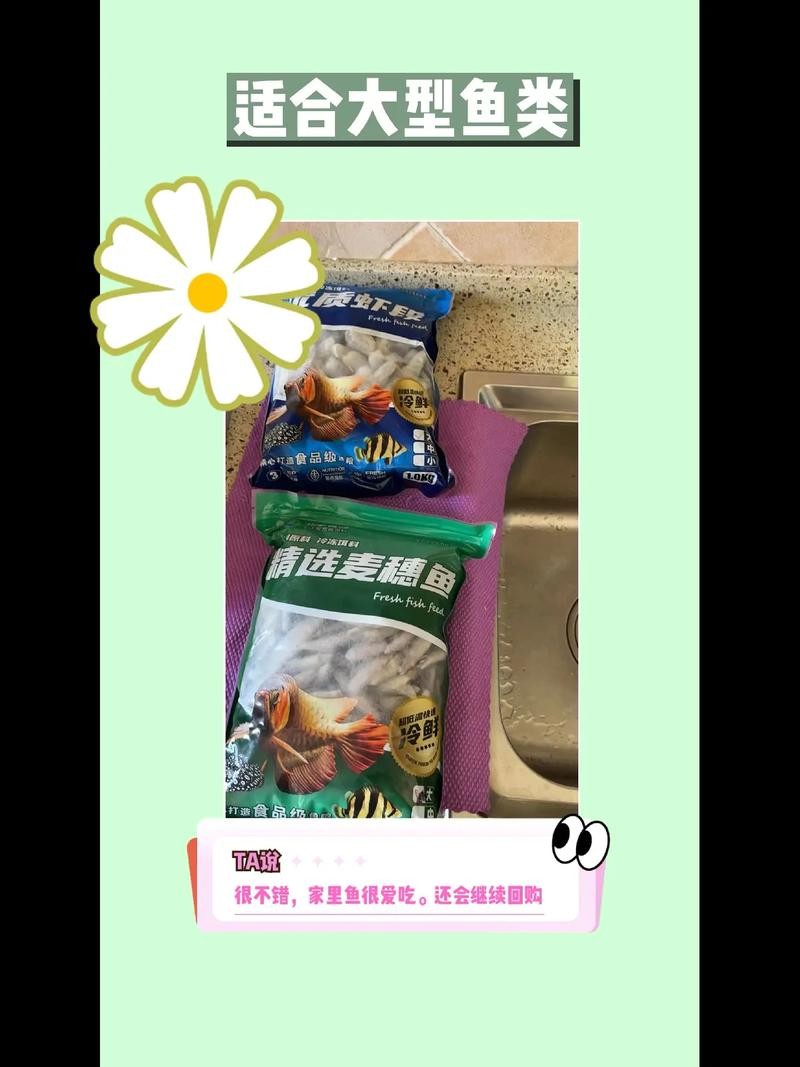 銀龍魚喂什么飼料最好
