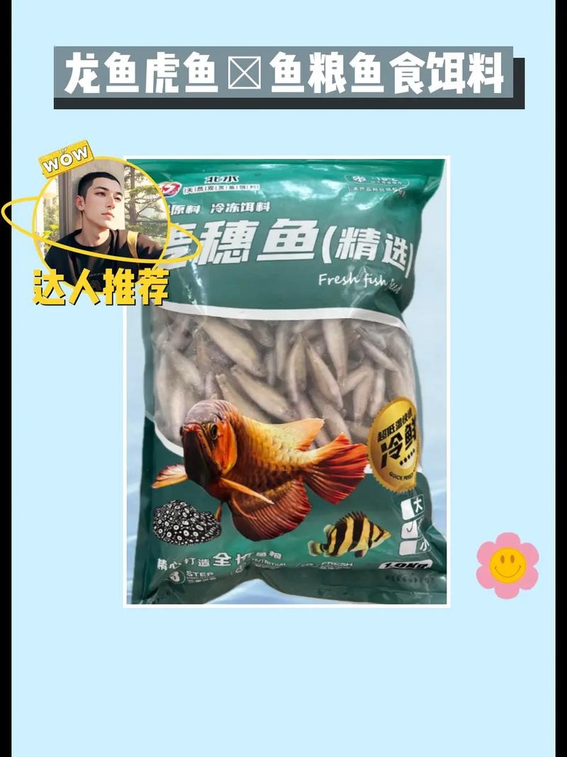銀龍魚喂什么飼料最好