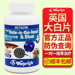 金龍魚白點病加食鹽能治好嗎：金龍魚白點病加食鹽可以治好嗎