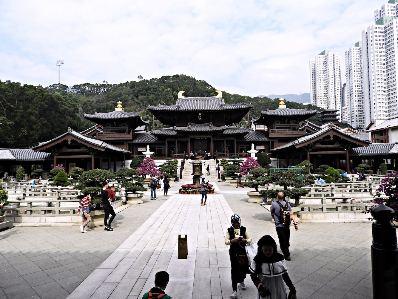 哈爾濱市道外區(qū)吉利花魚水景店