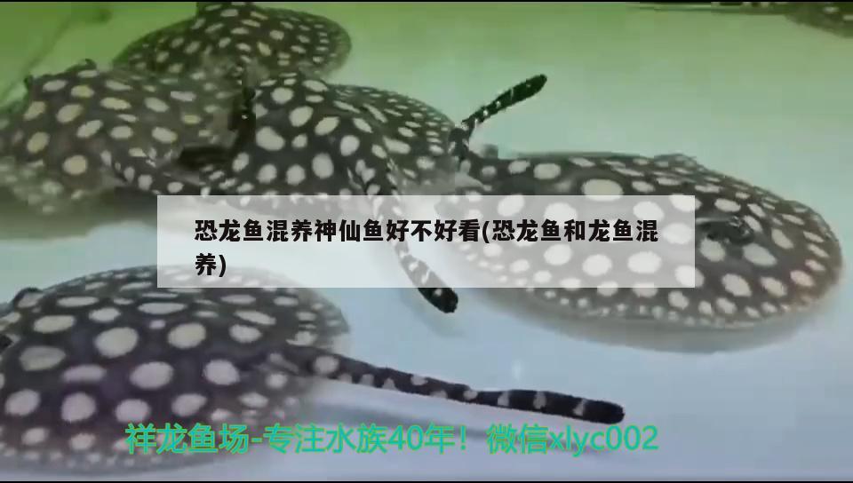 駐馬店魚缸維修店地址電話（<strong><mark>西安</mark></strong>魚缸維修電話）