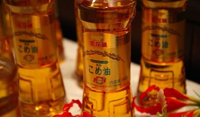金龍魚形狀瓶裝酒瓶蓋是如意造型是什么酒：金龍魚形狀瓶裝酒瓶蓋