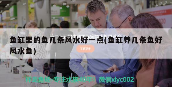濟(jì)南鼎龍閣水族有限公司，濟(jì)南鼎龍閣水族有限公司怎么樣