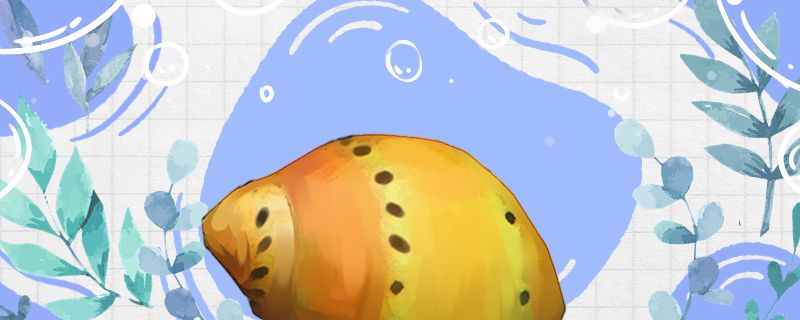 福滿鉆魚繁殖水質(zhì)管理技巧，關(guān)于福滿鉆魚繁殖水質(zhì)管理的技巧