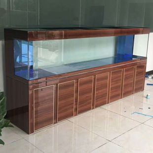 龍魚底濾用什么濾材：養龍魚底濾用什么濾材，龍魚底濾用什么濾材好