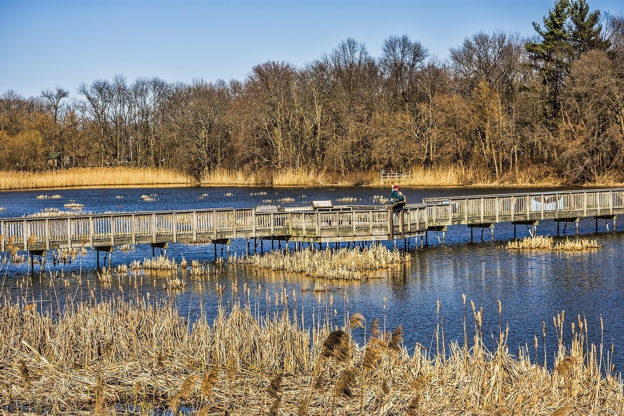 雅安市名山區亭江觀賞魚展示園（雅安市名山區亭江觀賞魚展示園地址）