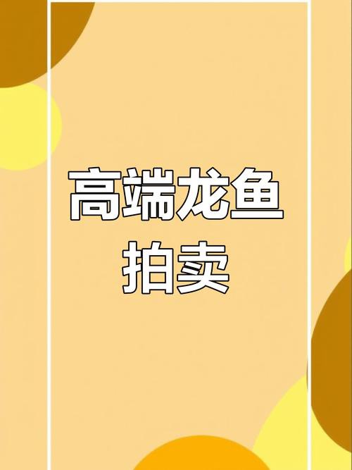 北海龍魚圖片欣賞圖