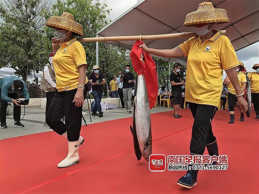 北海龍魚圖片欣賞圖