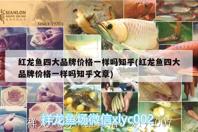 濟南市天橋區福海水族店 濟南市天橋區福海水族店 全國水族館企業名錄 第2張