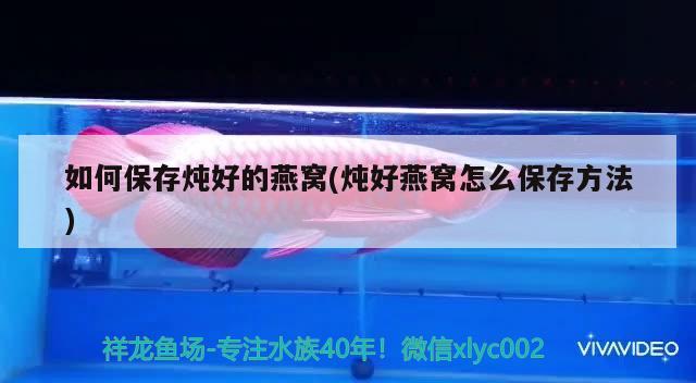 龍魚單養好還是有配魚好：龍魚要單養好還是混養好