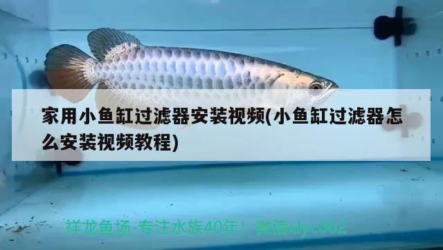 天津市西青區(qū)宏鑫錦鯉水族用品店