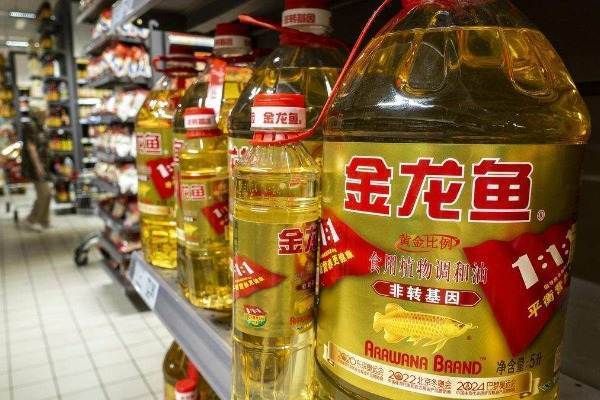 金龍魚 招股書（金龍魚招股書詳細介紹）