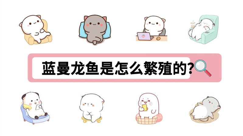 藍龍魚繁殖需要哪些條件？