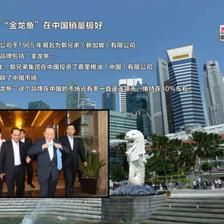 新加坡金龍魚老板簡介：新加坡金龍魚老板是誰？