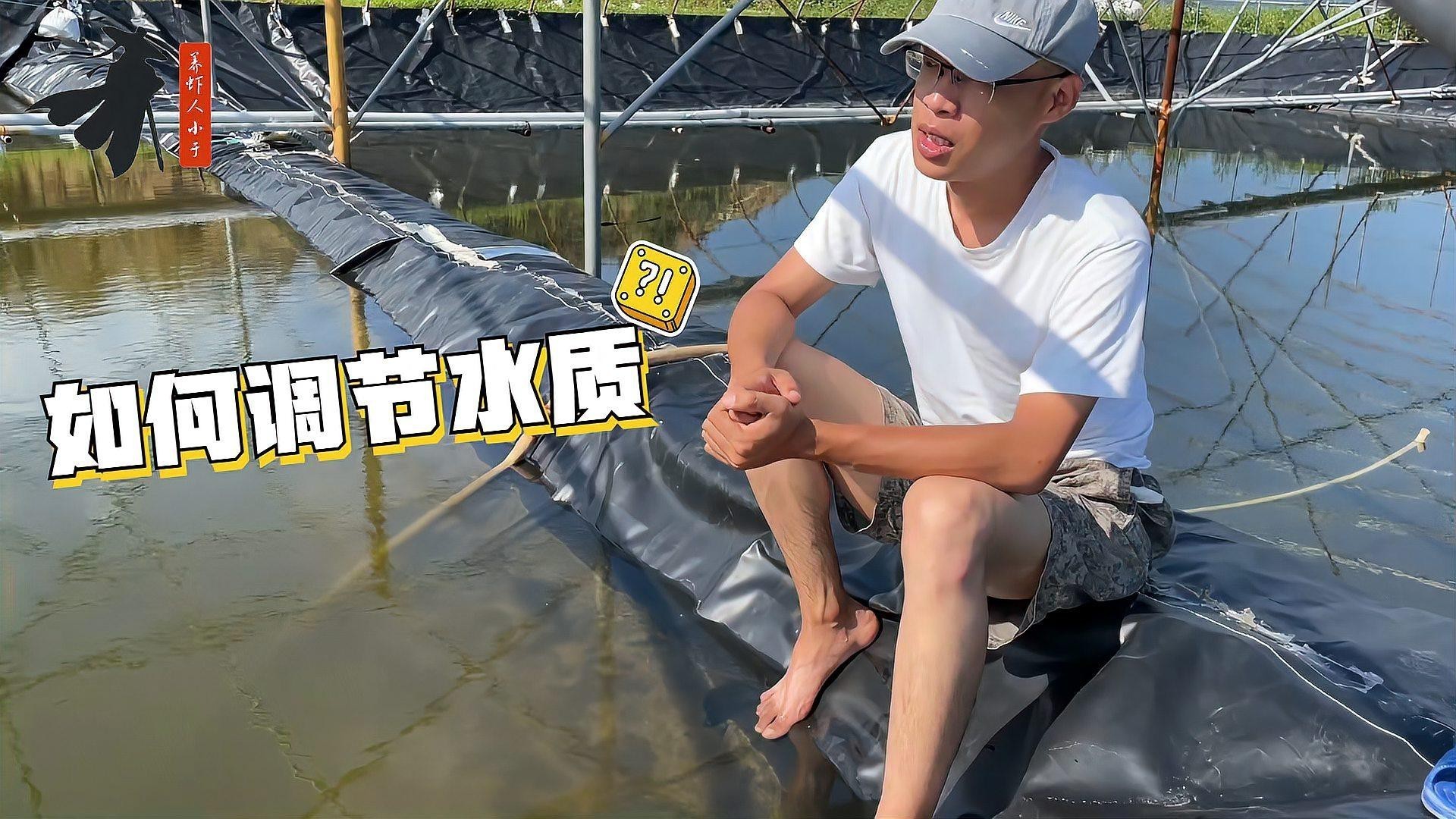 如何調節水質以達到最佳飼養效果？