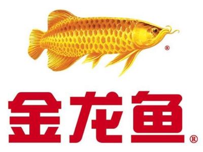怎樣的金龍魚：怎樣的金龍魚，你了解嗎？