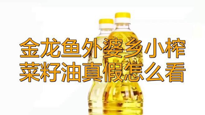 金龍魚鑒別真假