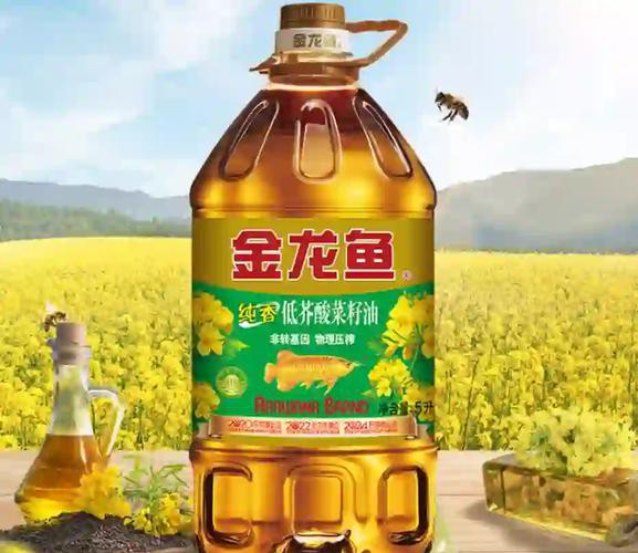 金龍魚鑒別真假