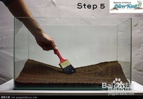 一米魚缸怎么布景好看，一米魚缸布景設計應注重色彩搭配、植物選擇和裝飾物選擇和裝飾物