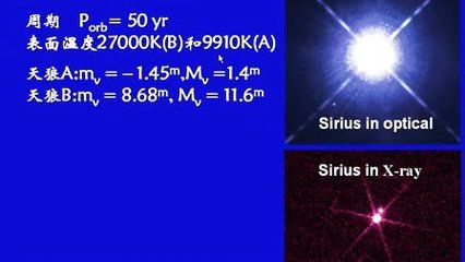 27000k發色燈對龍魚的影響：27000k發色燈對龍魚發色燈對龍魚的影響