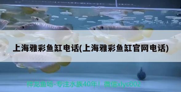 桂林市七星區金華彩擴沖印店