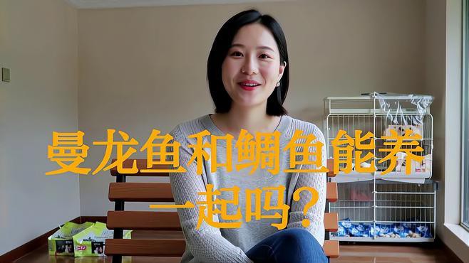 曼龍魚和三湖慈鯛混養