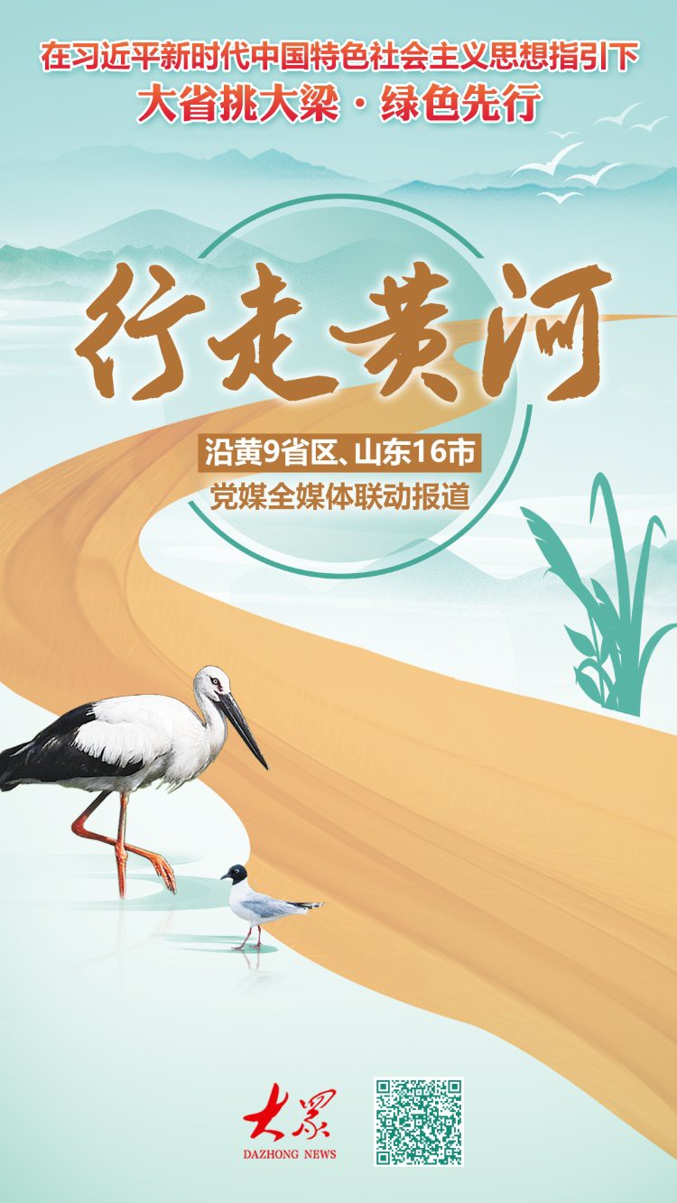 山東龍魚價格走勢最新