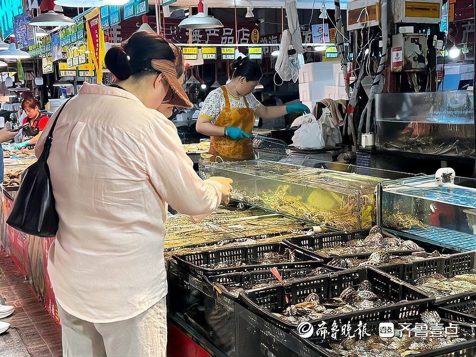 山東龍魚價格走勢最新