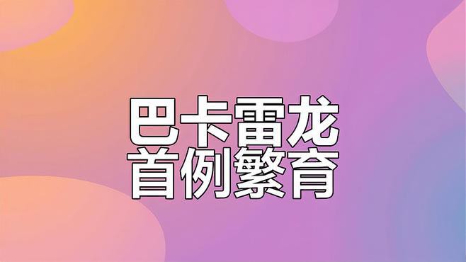 人工繁殖巴卡雷龍魚怎么養(yǎng)殖
