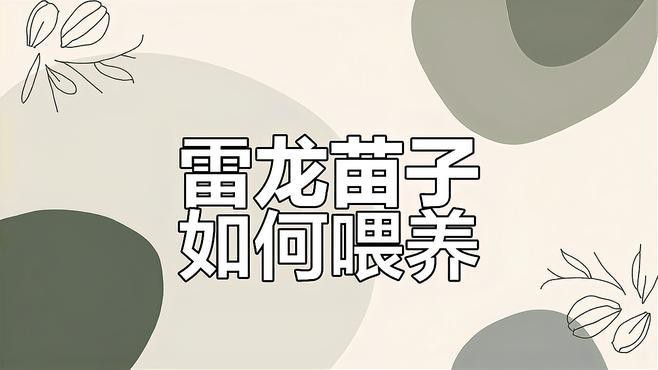 人工繁殖巴卡雷龍魚怎么養(yǎng)殖