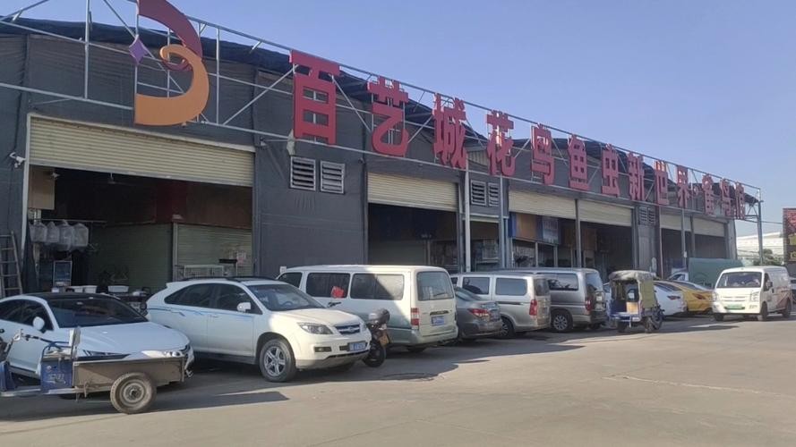 龍魚養殖需要什么樣的水質？