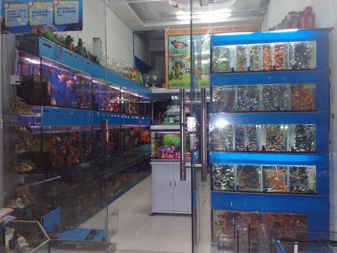 龍魚養殖需要什么樣的水質？
