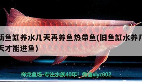 丹陽市云陽鎮怡心觀賞魚經營部（丹陽市云陽鎮怡心觀賞魚經營部地址）