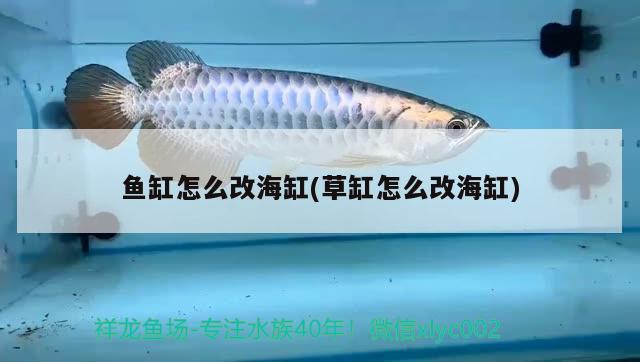 富源古敢水族鄉路云百貨店：傳承水族文化（富源縣古敢水族鄉路云百貨店：傳承水族文化）