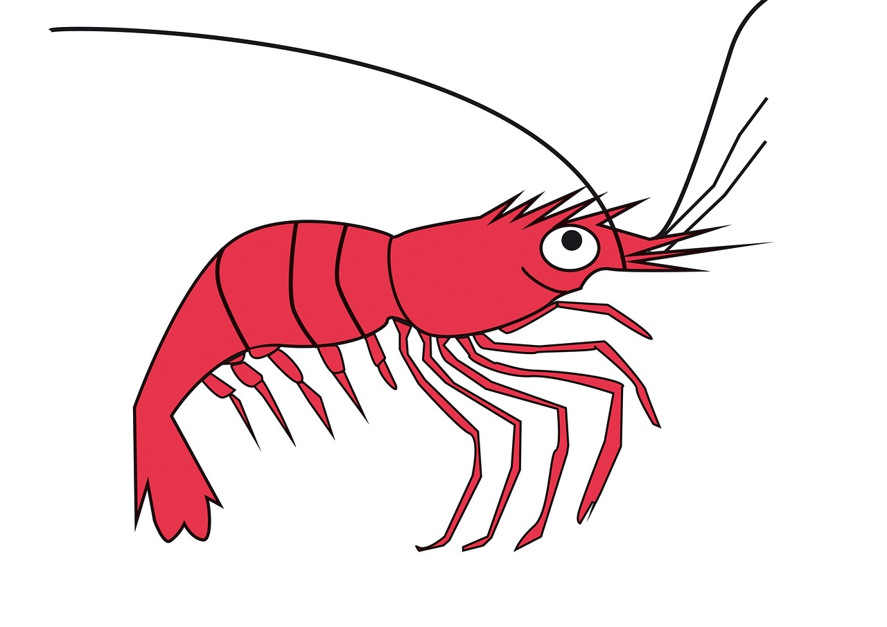 六角恐龍魚能聽懂人話嗎？