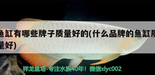 魚缸有哪些牌子質(zhì)量好的(什么品牌的魚缸質(zhì)量好)