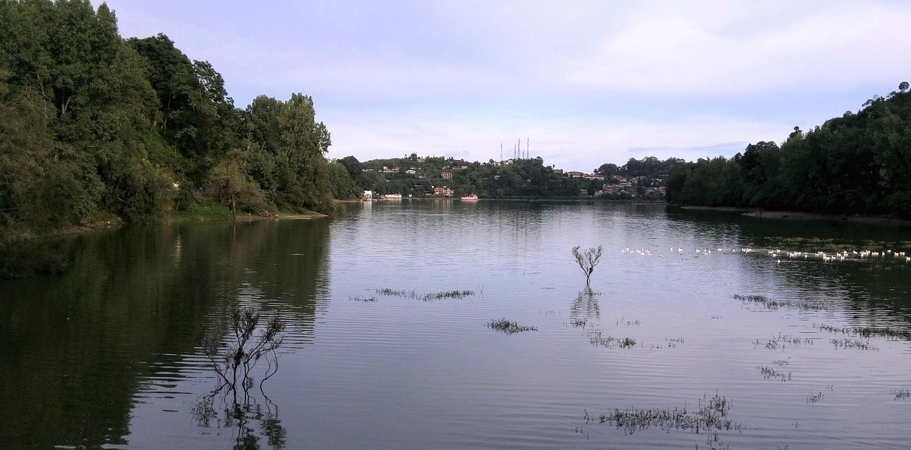 湘潭市雨湖區(qū)添福水族館（湘潭市雨湖區(qū)添福水族館地址）
