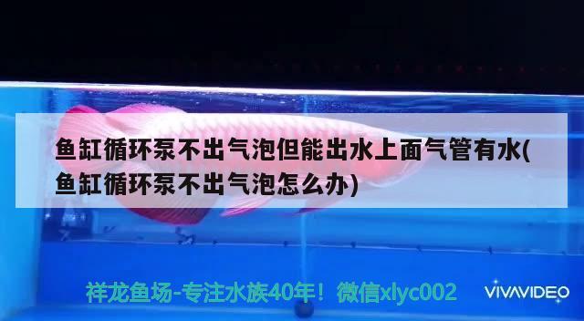 長沙市芙蓉區星貓鮮花店