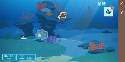 龍魚靜止在水面不動：為什么龍魚靜止在水面不動？