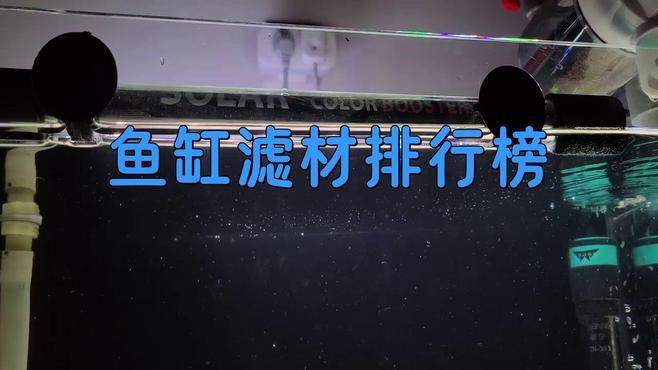 給我推薦幾款適合龍魚飼養的濾材品牌