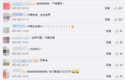 微信名金龍魚啥意思（微信名“金龍魚”具體含義是什么？）