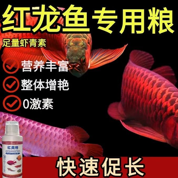 龍魚增色飼料有沒效果啊