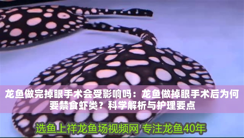 龍魚做完掉眼手術會受影響嗎：龍魚做掉眼手術后為何要禁食蝦類？科學解析與護理要點