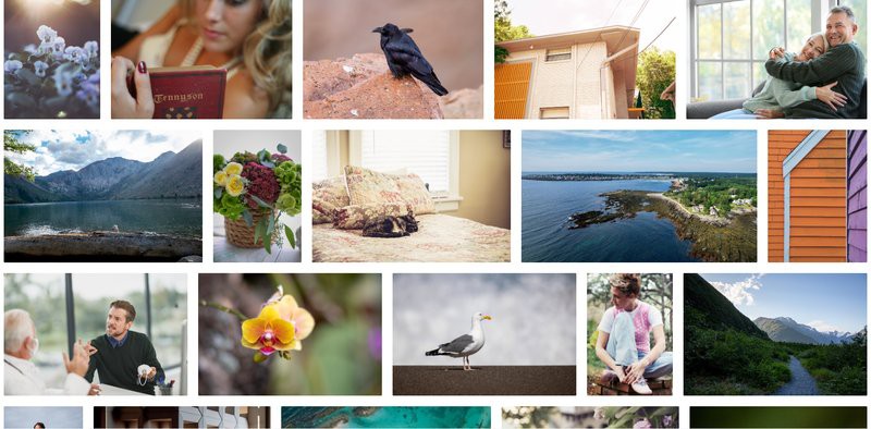 這些圖庫是否提供高清大圖下載？