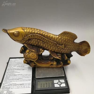 拍賣最貴的金龍魚是什么：拍賣最貴的金龍魚是什么？