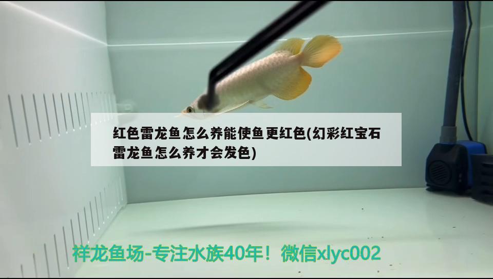依蘭縣金領倉買店