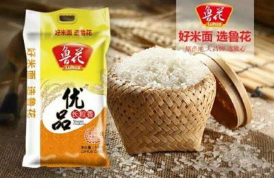 橋西區貴賓水族館：橋西區貴賓水族館地址